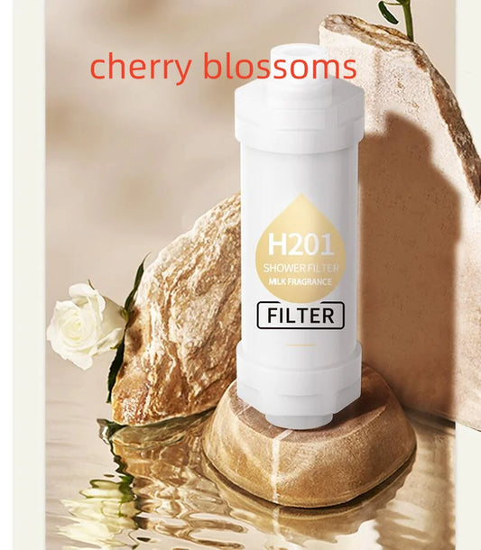 Aromatherapy Shower Head with Fragrance Infusion