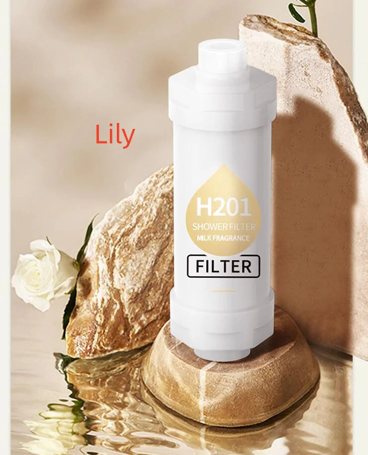 Aromatherapy Shower Head with Fragrance Infusion